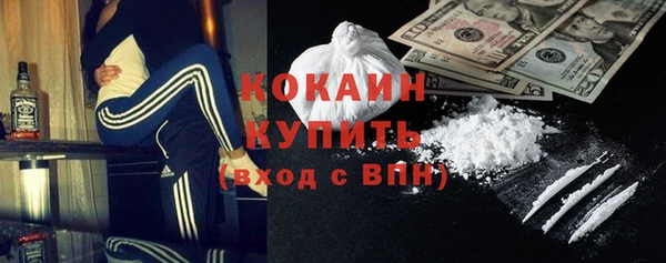 хмурый Алексин
