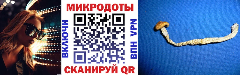 наркошоп  Армянск  Галлюциногенные грибы Psilocybe 